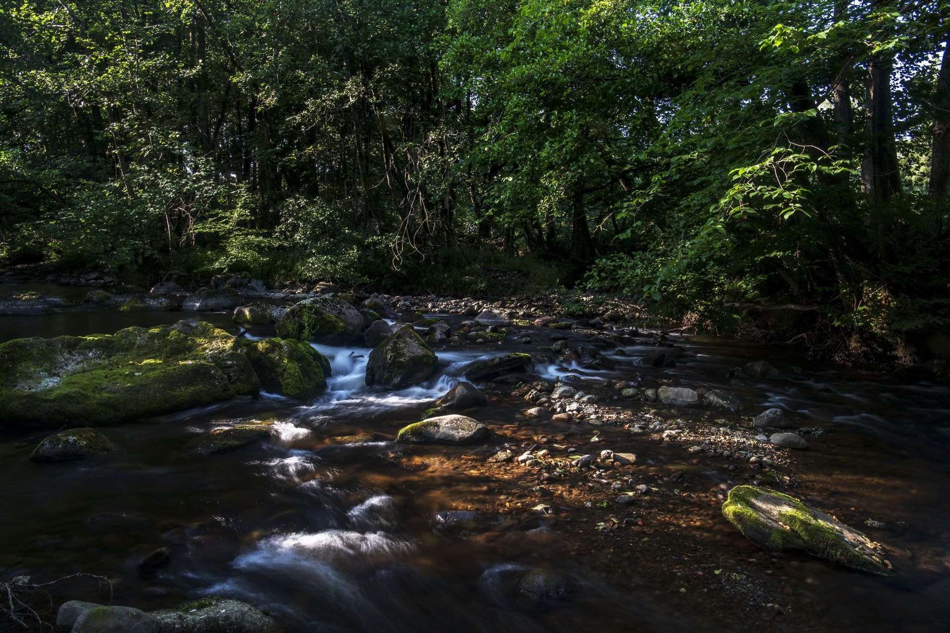 Agi Simoes and Reto Guntli 1109 min a291b10f1a